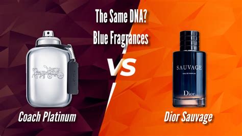 coach vs dior|Coach Platinum vs. Sauvage EDT .